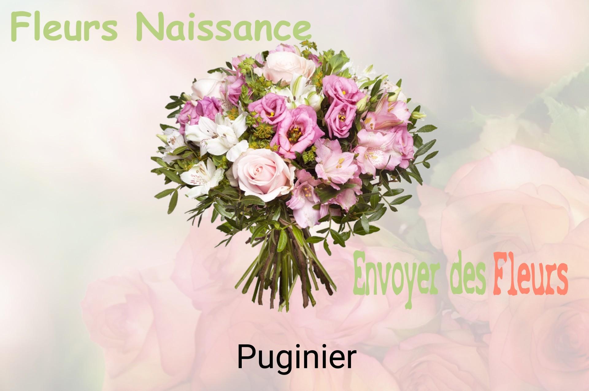 Bouquet de fleurs de naissance livré à Puginier